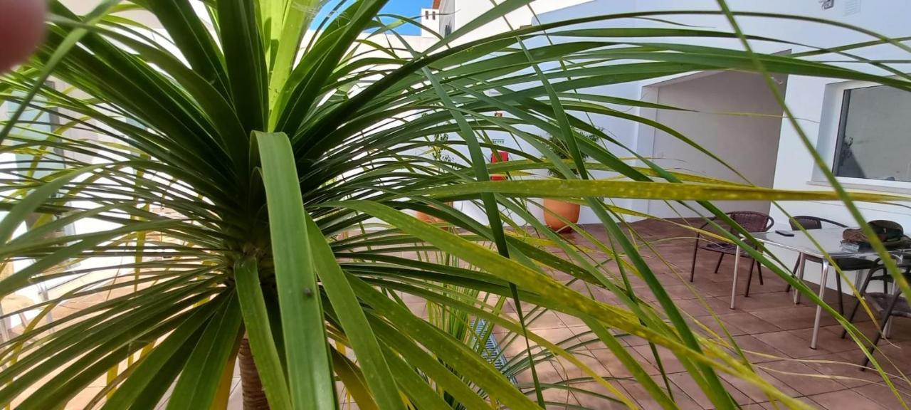 Apartamentos Naturalis Vila Nova de Milfontes Dış mekan fotoğraf
